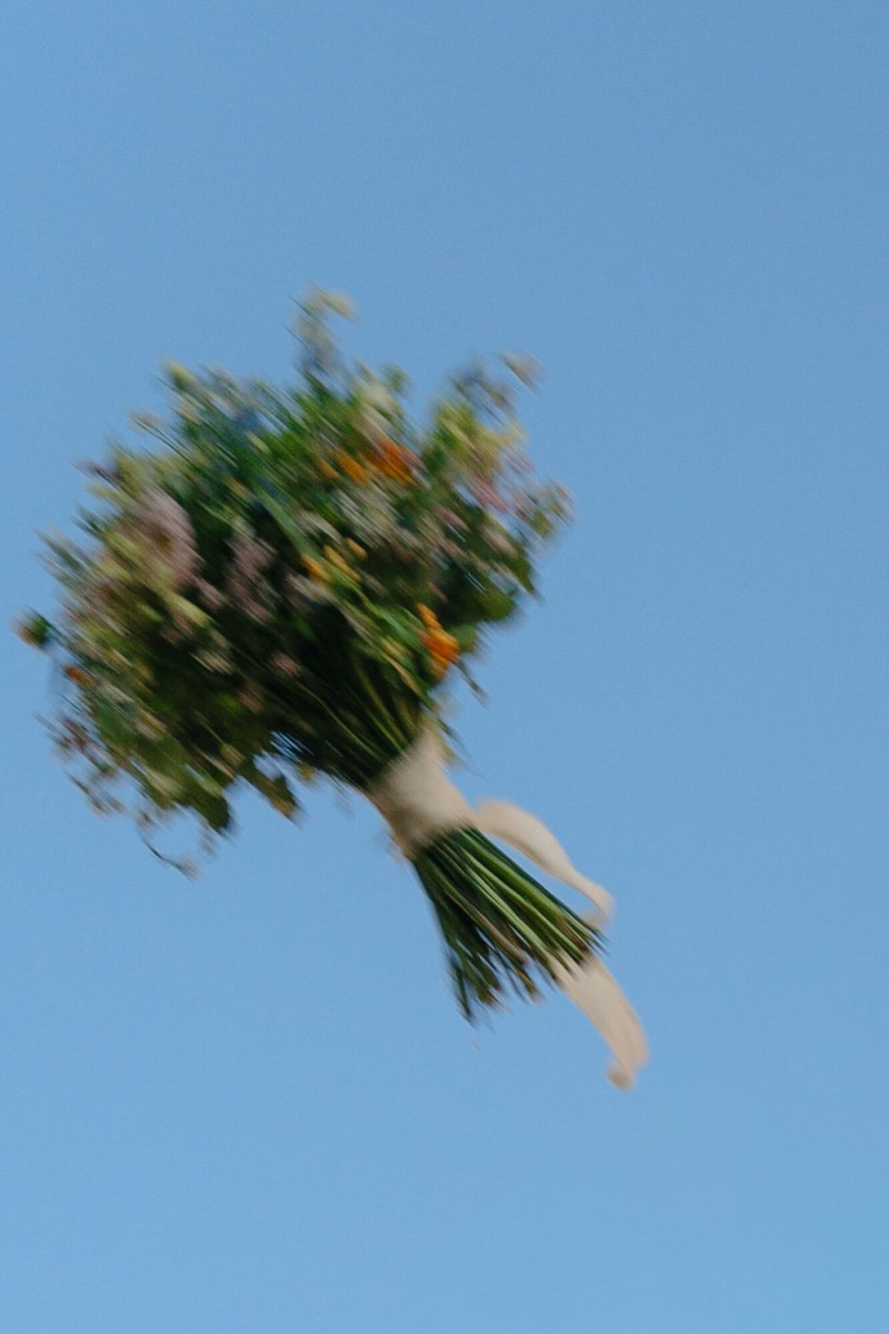 Meine Fotos