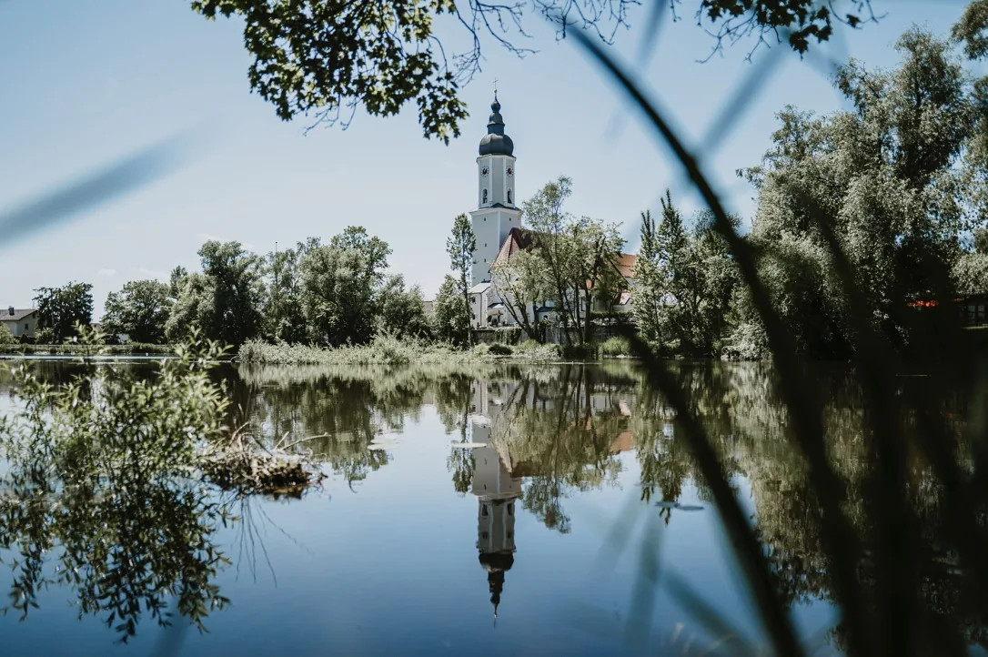 Meine Fotos